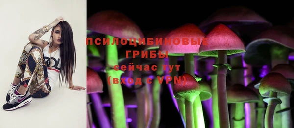 хмурый Алексеевка