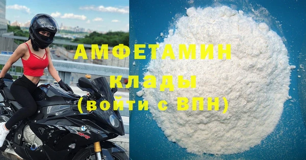 индика Алзамай
